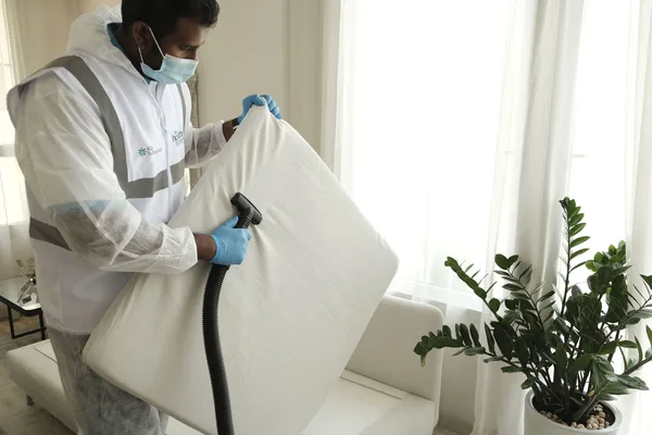 Aspiration des coutures d'un matelas pour retirer punaises de lit et œufs